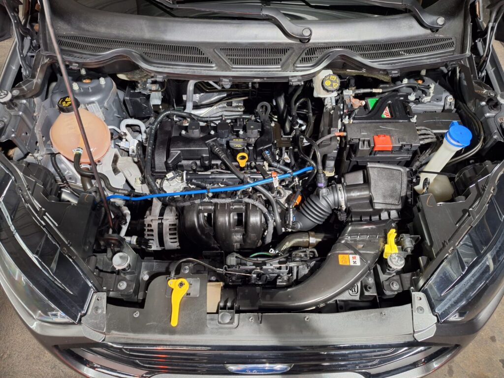 WhatsApp Image 2025-12-10 at 16.20.10