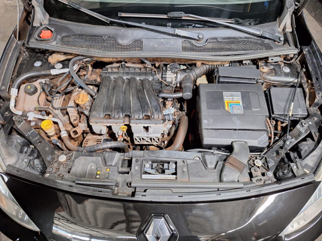 WhatsApp Image 2025-12-12 at 16.17.51 (1)