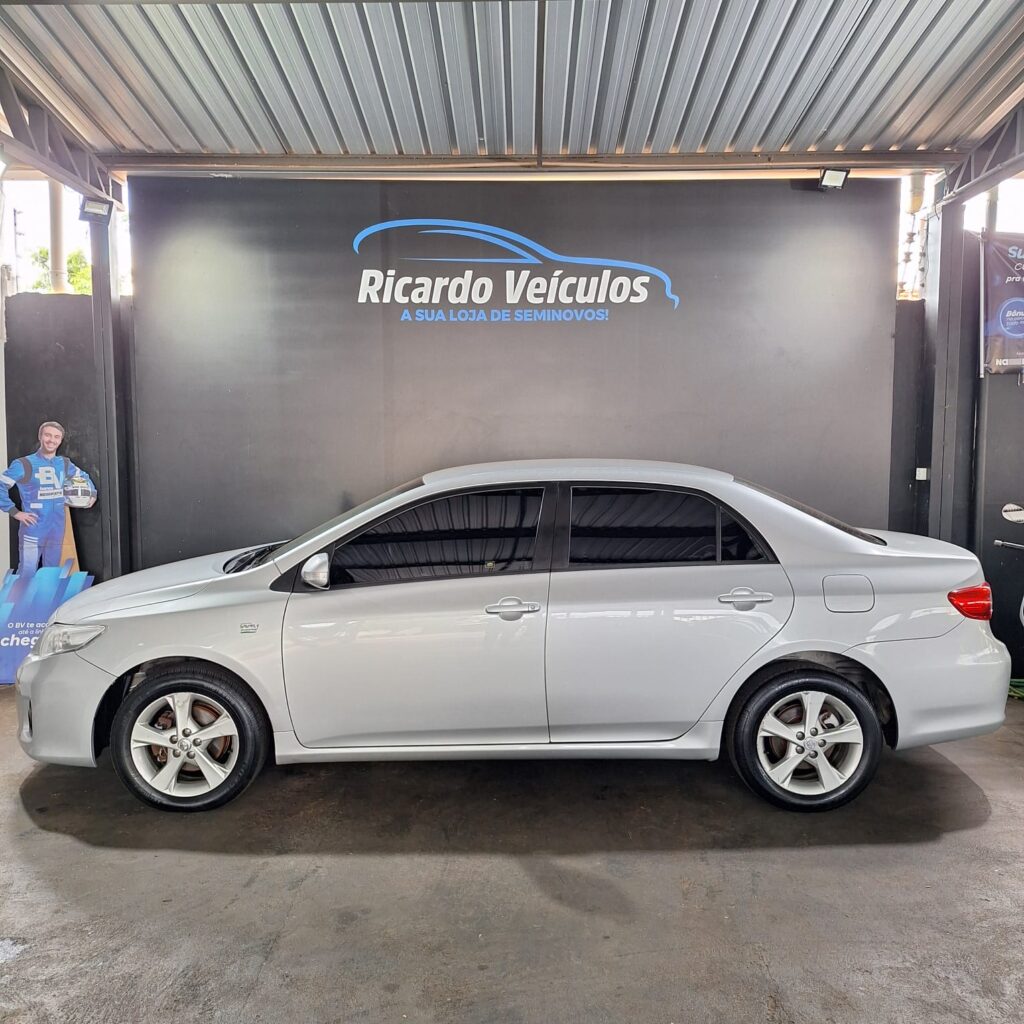 WhatsApp Image 2026-01-06 at 14.43.09