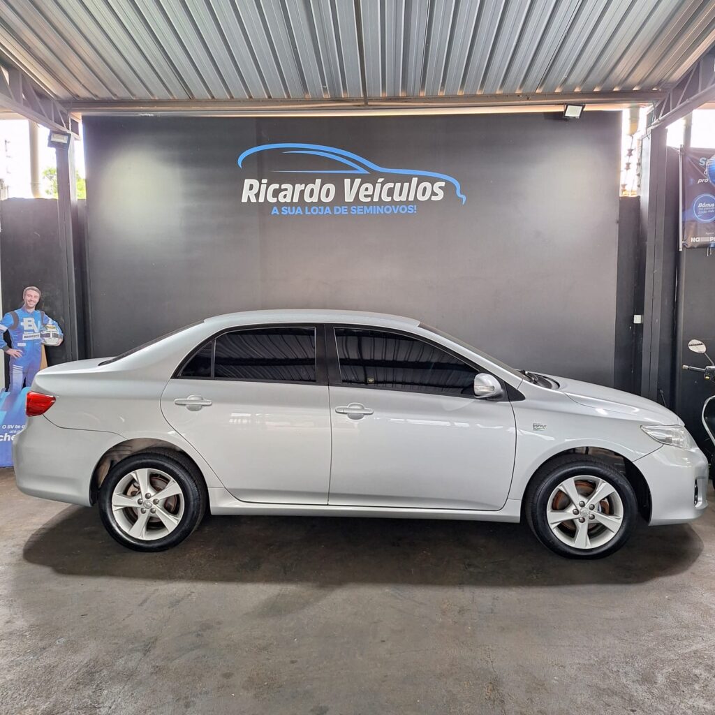 WhatsApp Image 2026-01-06 at 14.43.10